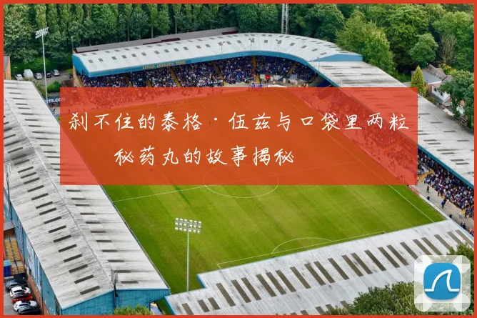 刹不住的泰格·伍兹与口袋里两粒神秘药丸的故事揭秘