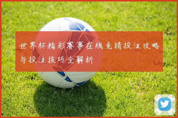 世界杯精彩赛事在线竞猜投注攻略与投注技巧全解析