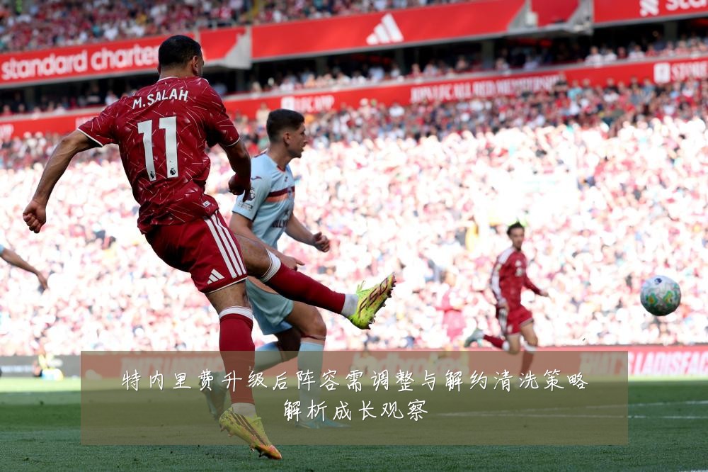 特内里费升级后阵容需调整与解约清洗策略解析成长观察