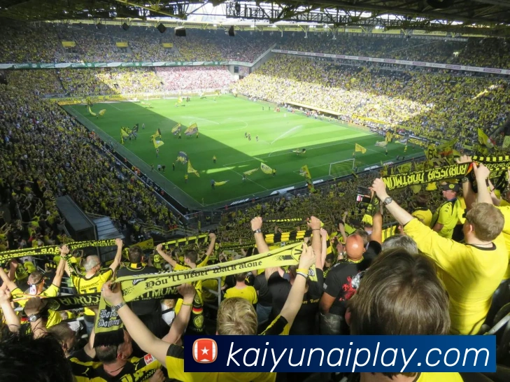 开云安卓app下载方法和安装步骤详解轻松体验高效功能